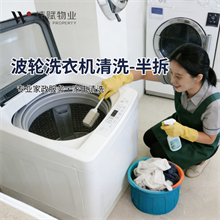 波轮洗衣机-半拆洗/台